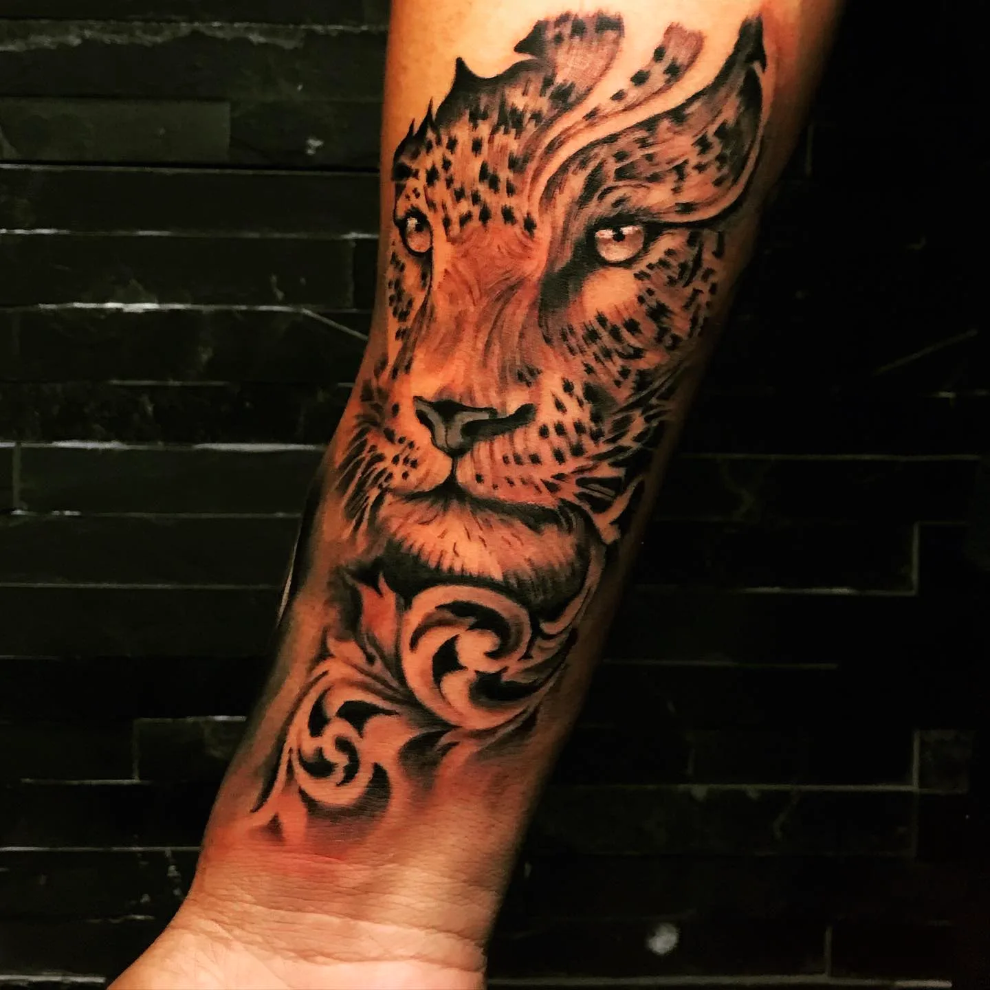 Color realistic leopard tattoo on forearm