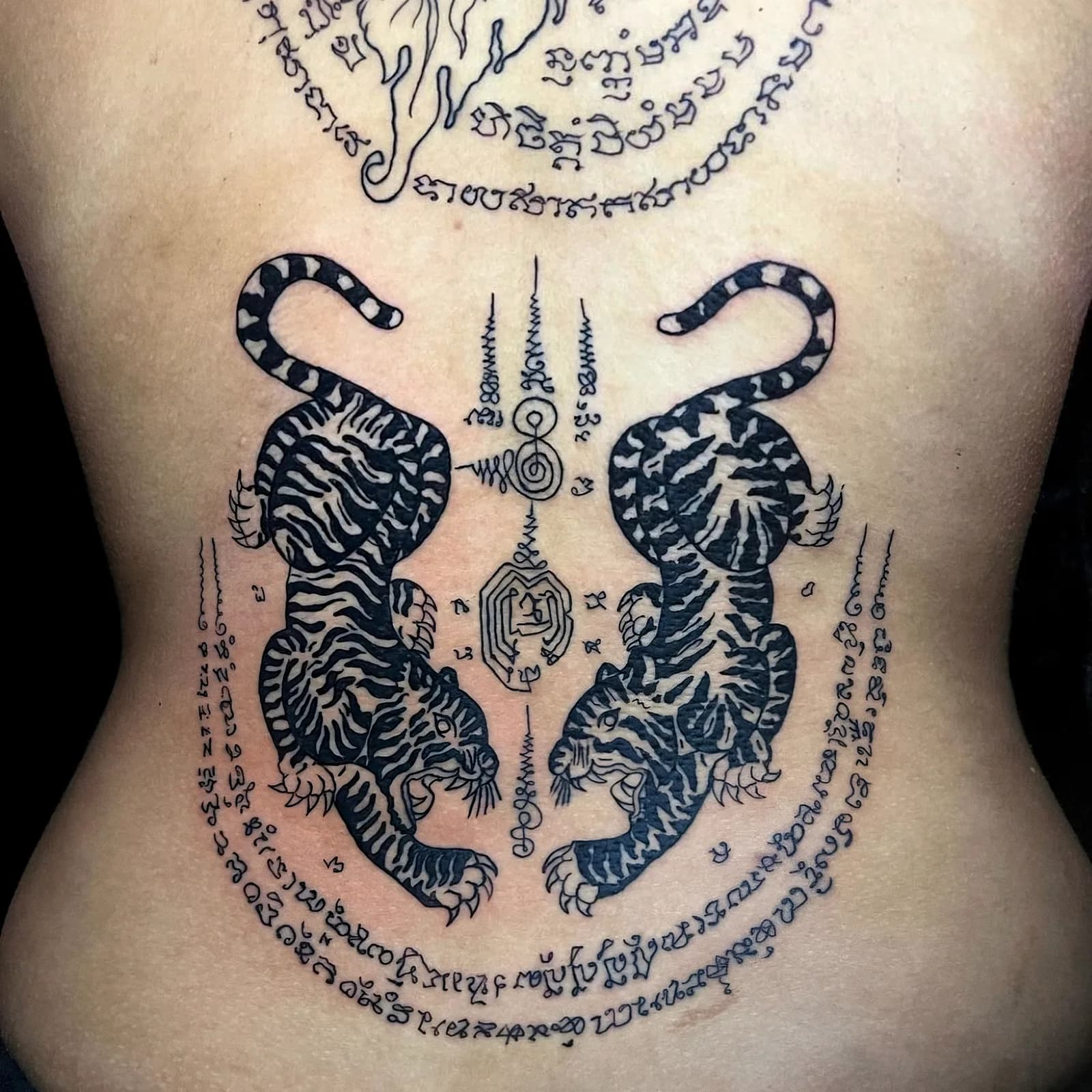 Black Sak Yant twin tiger tattoo with sacred script on back